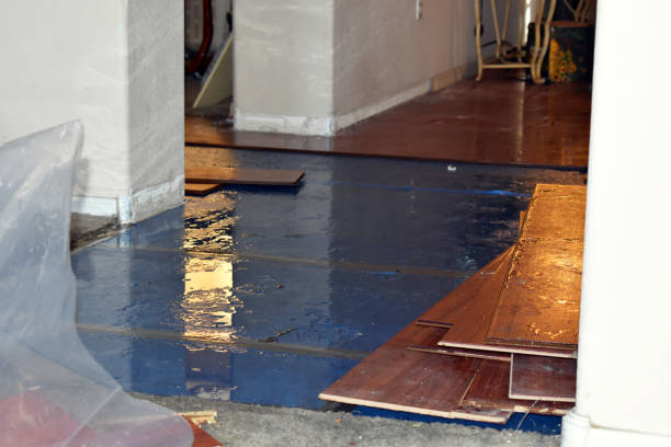 Professional Sewage Cleanup technician working in Allen, MI
