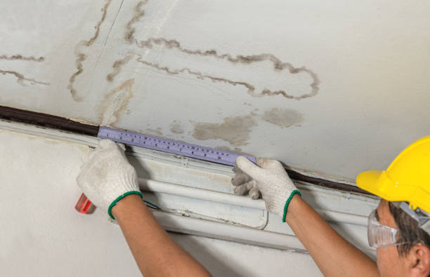 Reliable Sewage Cleanup contractor in Allen, MI by Water Damage Irwin
